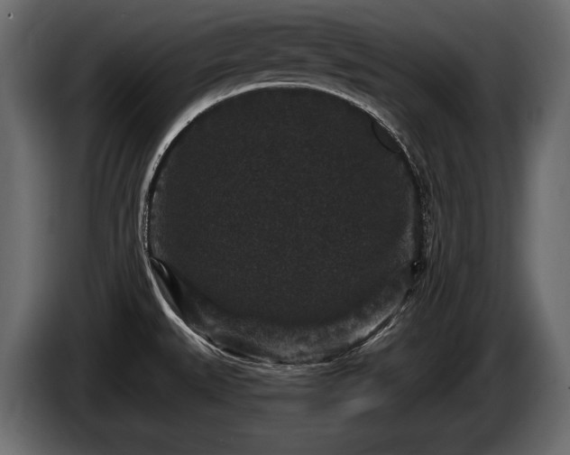 X0000085821527200703231346