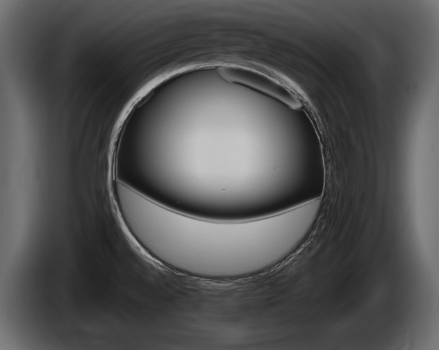 X0000085821528200703231346