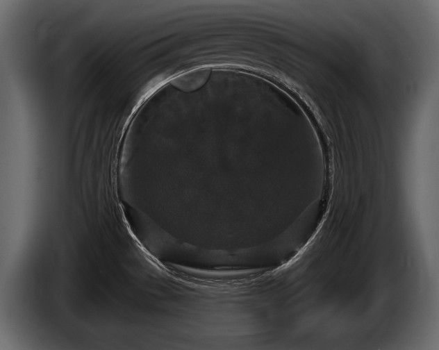 X0000085821529200703231346