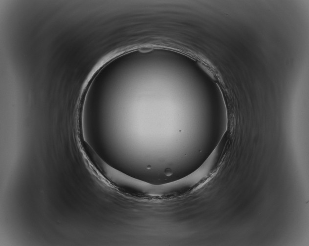 X0000085821530200703231346