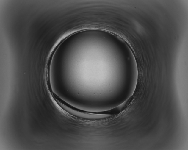X0000085821531200703231346