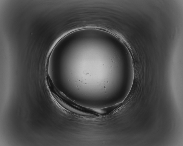 X0000085821532200703231346