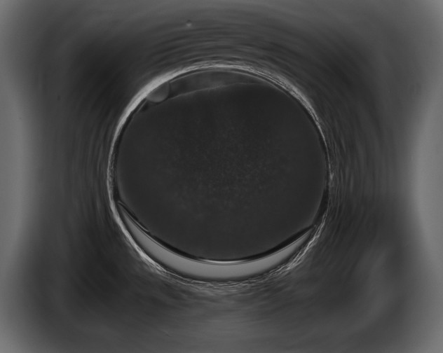 X0000085821533200703231346