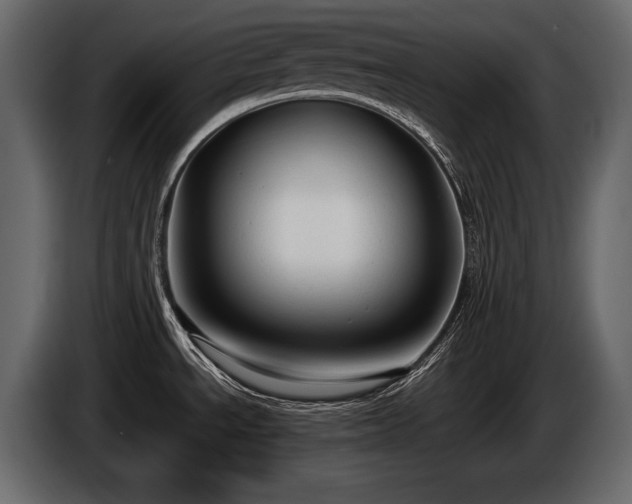 X0000085821534200703231346