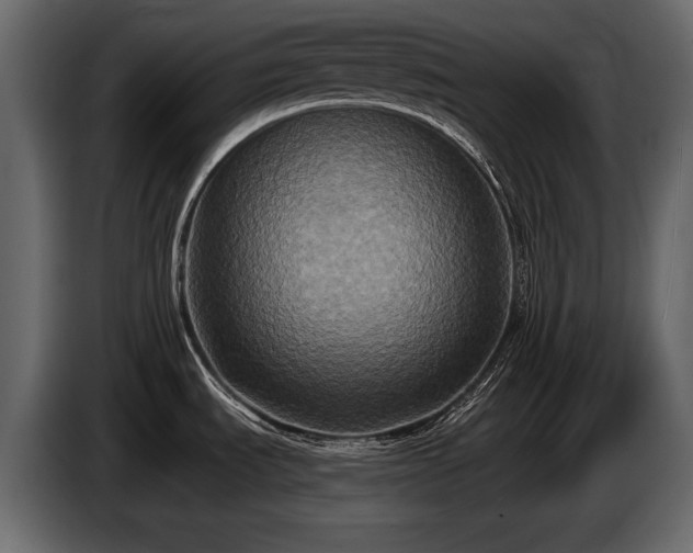 X0000085821535200703231346