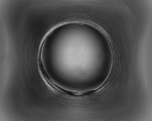 X0000085821536200703231346