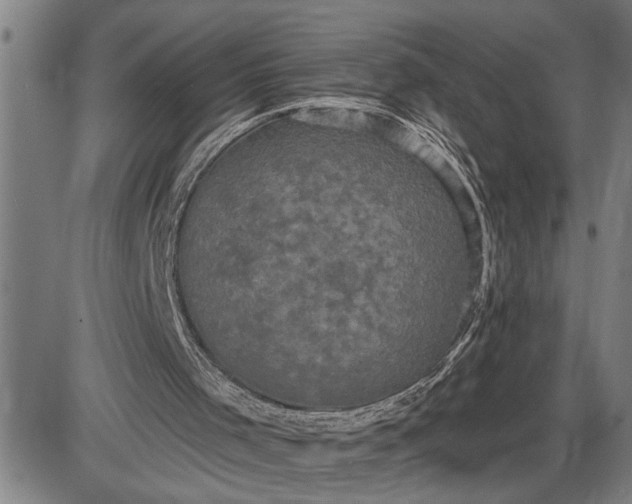 X0000085820001200703301605