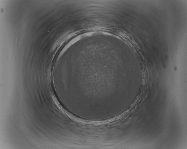 X0000085820002200703301605