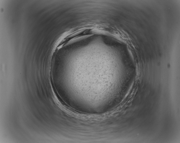 X0000085820003200703301605