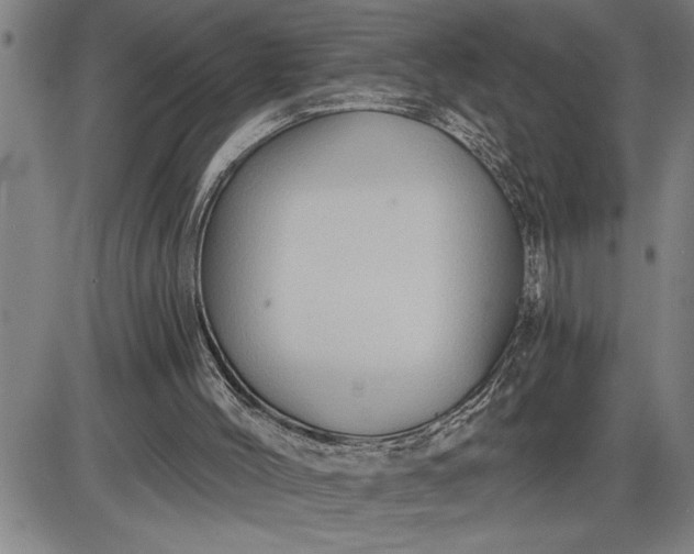 X0000085820004200703301605