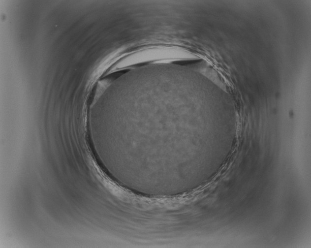 X0000085820005200703301605