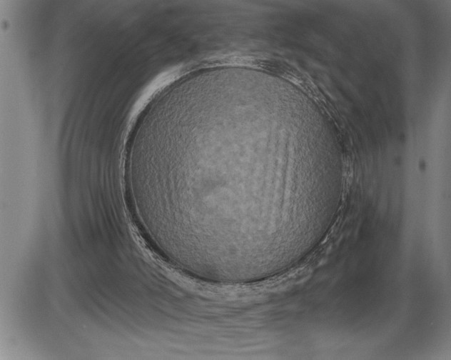 X0000085820006200703301605