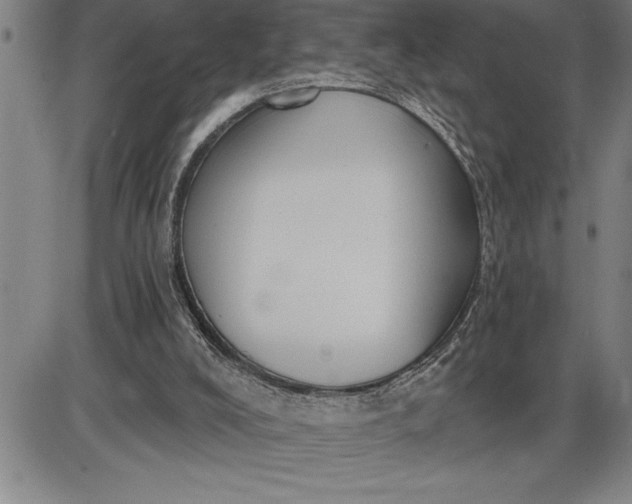 X0000085820008200703301605