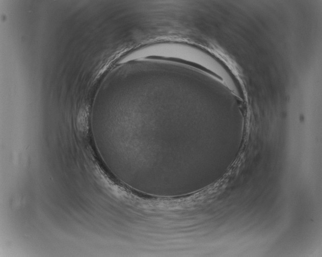 X0000085820009200703301605