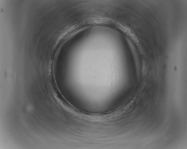 X0000085820010200703301605