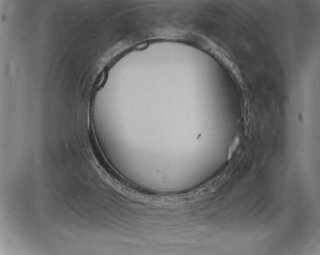 X0000085820011200703301605