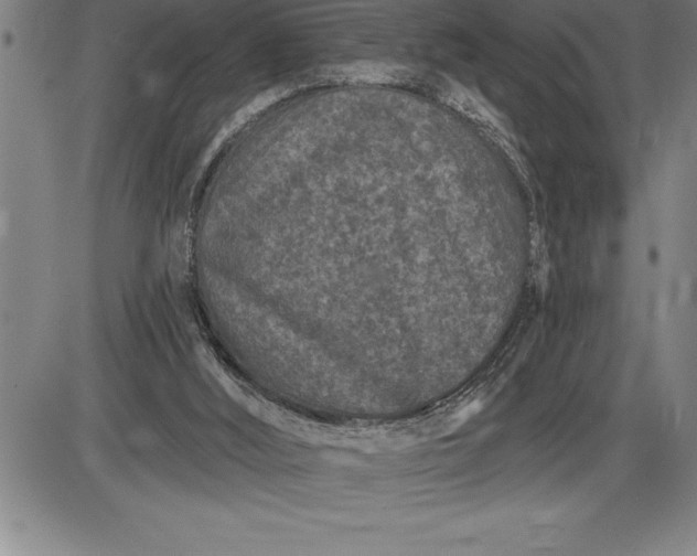 X0000085820012200703301605