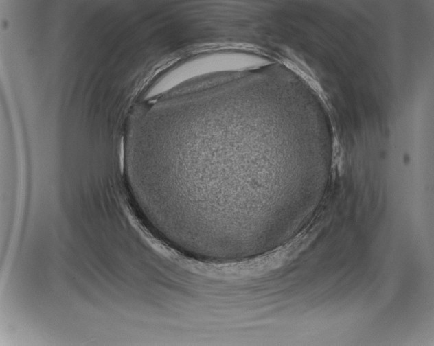 X0000085820013200703301605