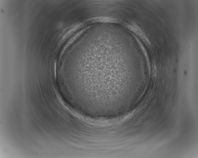 X0000085820014200703301605