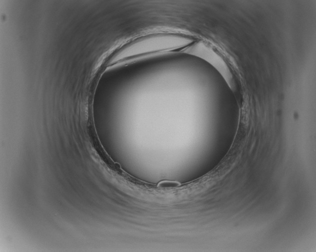 X0000085820015200703301605