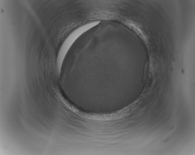 X0000085820017200703301605