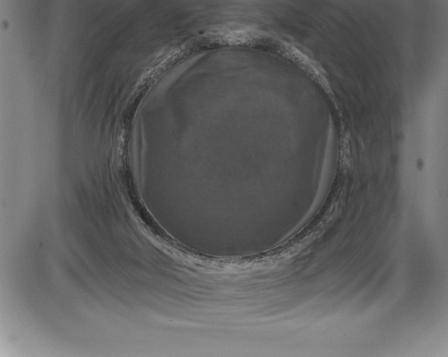 X0000085820018200703301605