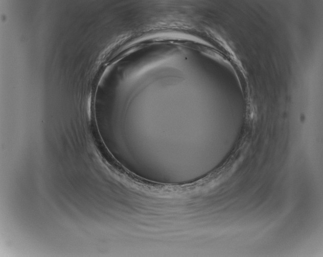 X0000085820019200703301605