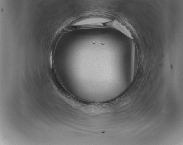 X0000085820020200703301605