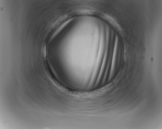 X0000085820021200703301605