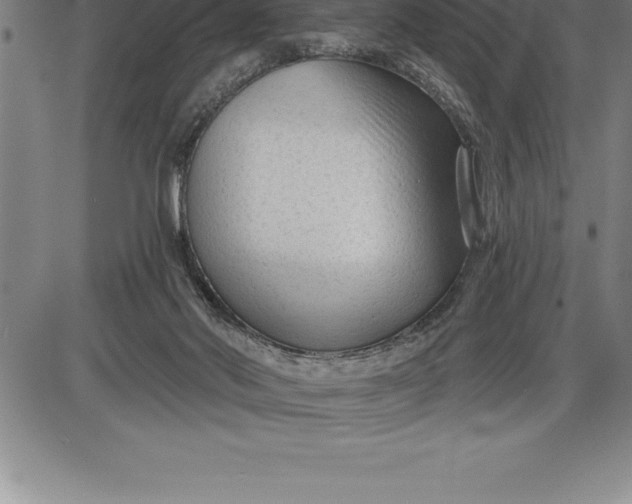 X0000085820022200703301605