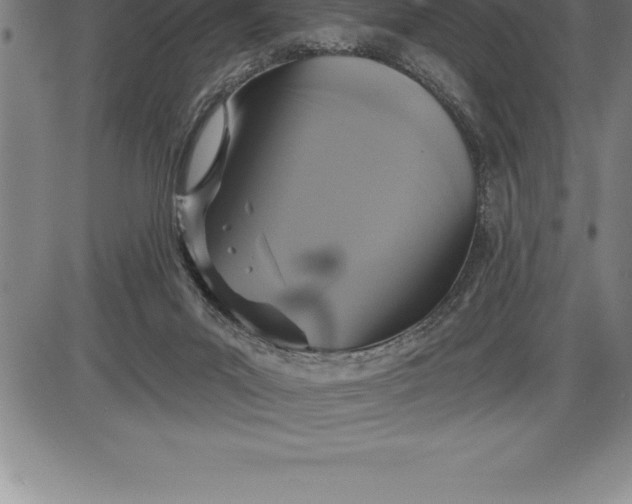 X0000085820023200703301605