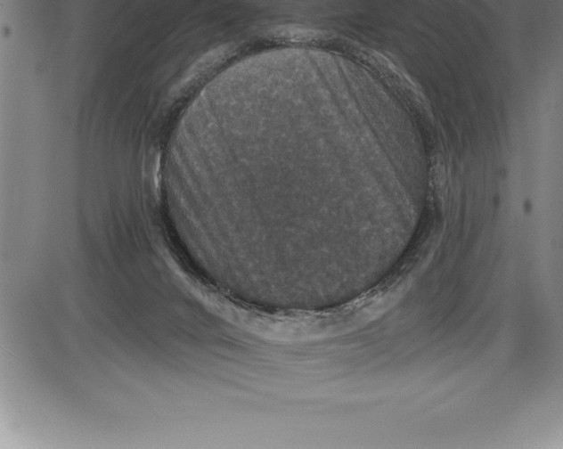 X0000085820024200703301605