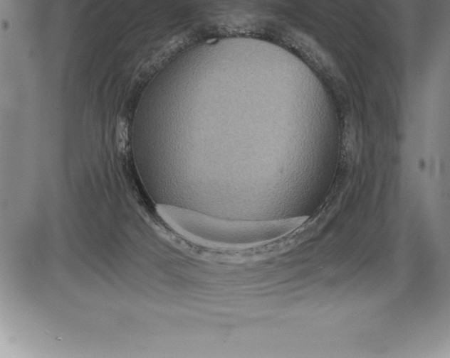 X0000085820025200703301605