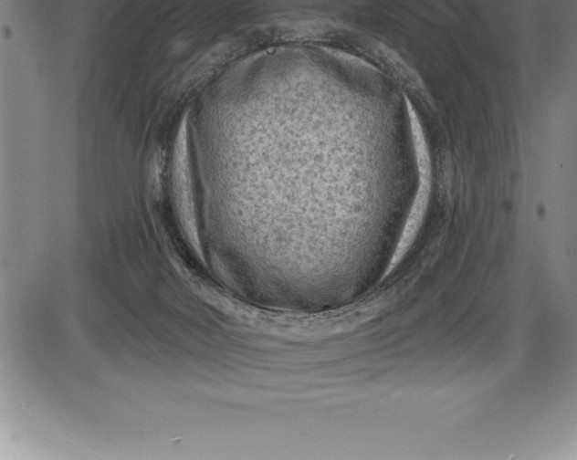 X0000085820026200703301605