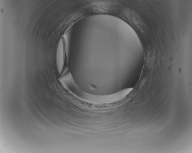 X0000085820027200703301605