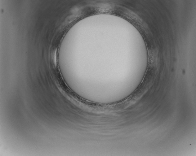 X0000085820028200703301605