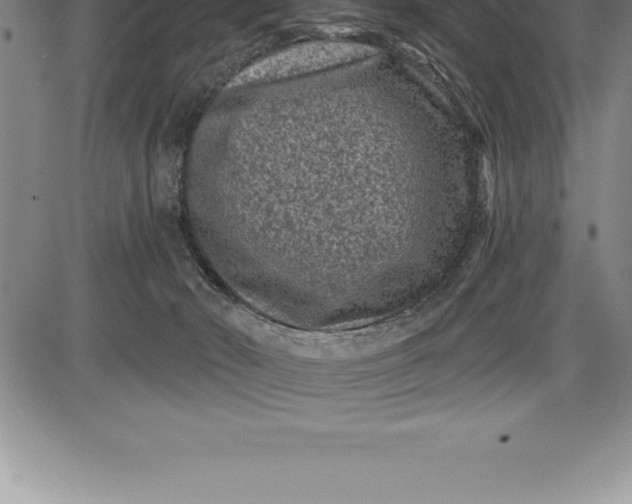 X0000085820030200703301605