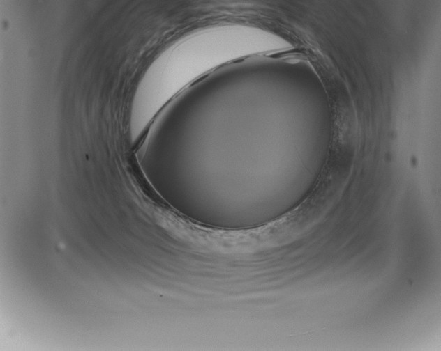 X0000085820031200703301605