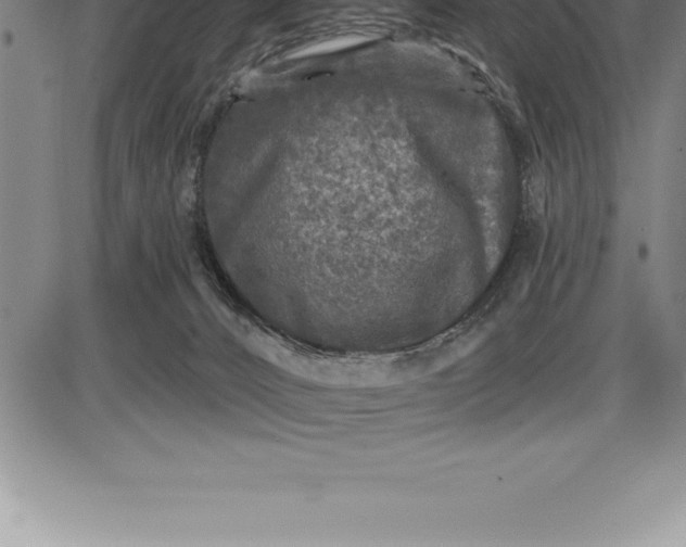 X0000085820032200703301605