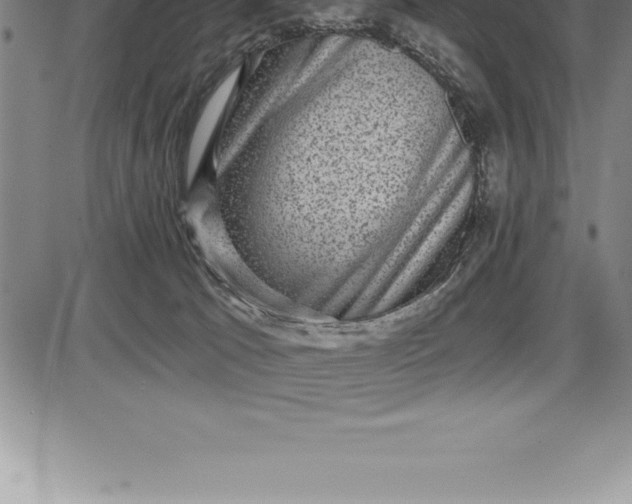 X0000085820033200703301605