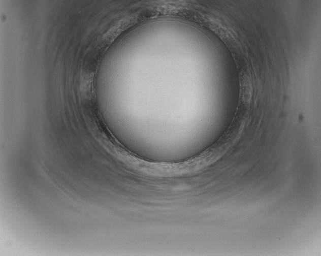 X0000085820034200703301605