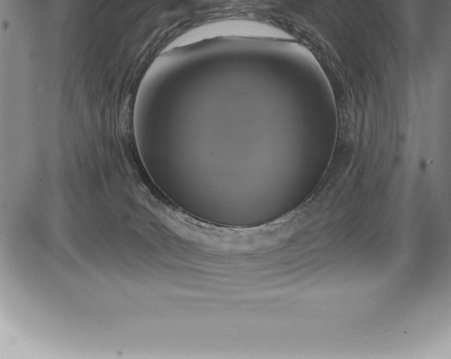 X0000085820035200703301605