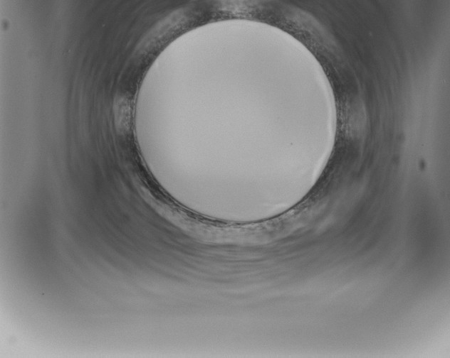 X0000085820036200703301605