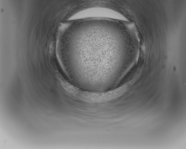 X0000085820037200703301605