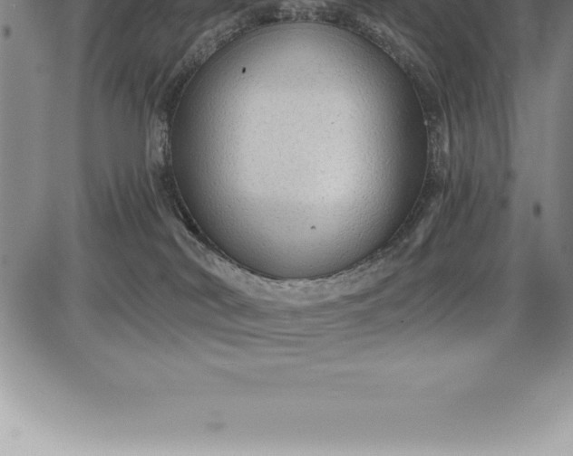 X0000085820038200703301605