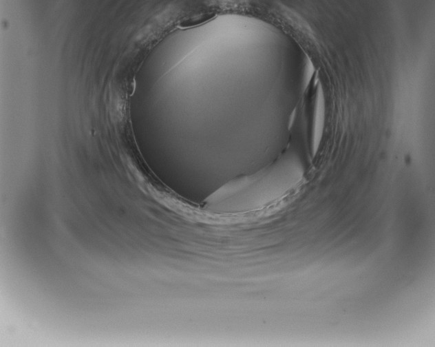 X0000085820039200703301605