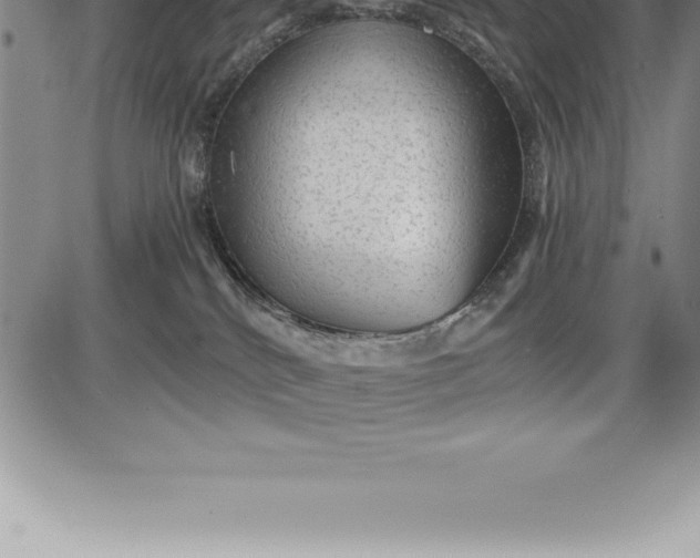 X0000085820040200703301605