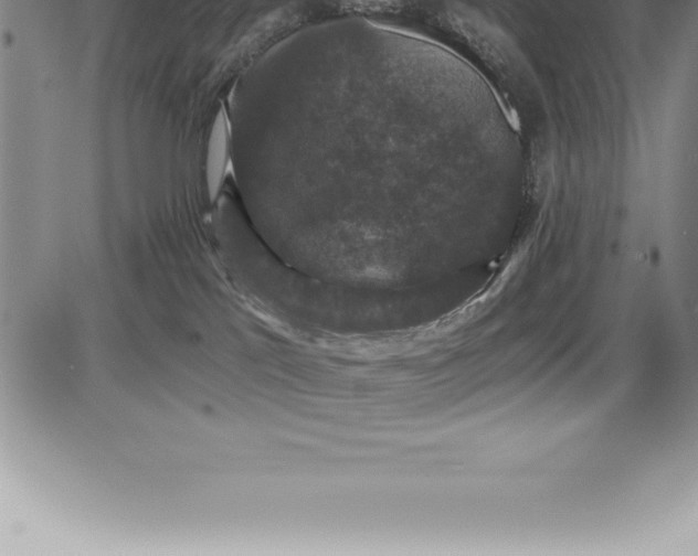 X0000085820041200703301605