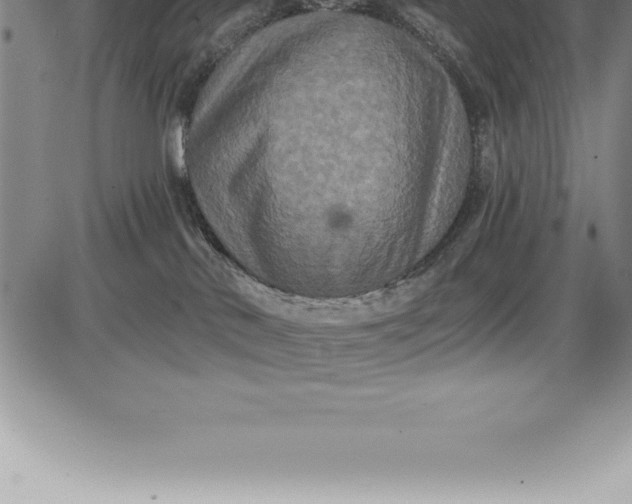 X0000085820042200703301605