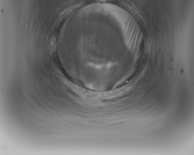 X0000085820043200703301605